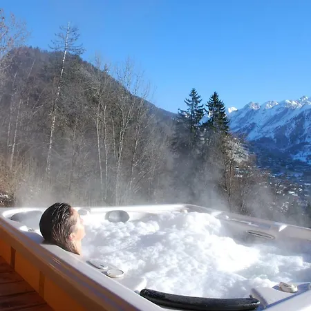 Chalet Seraphine *